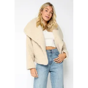 Faux Fur Cropped Hoodie