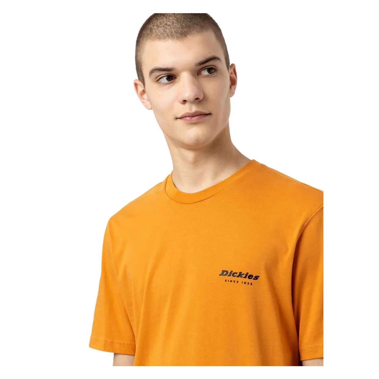 T-shirt Dickies Artondale Arancione