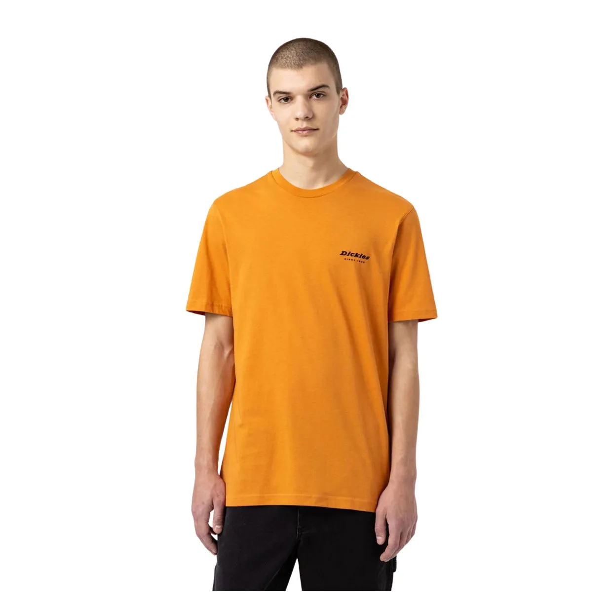 T-shirt Dickies Artondale Arancione