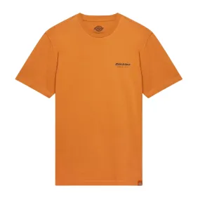 T-shirt Dickies Artondale Arancione