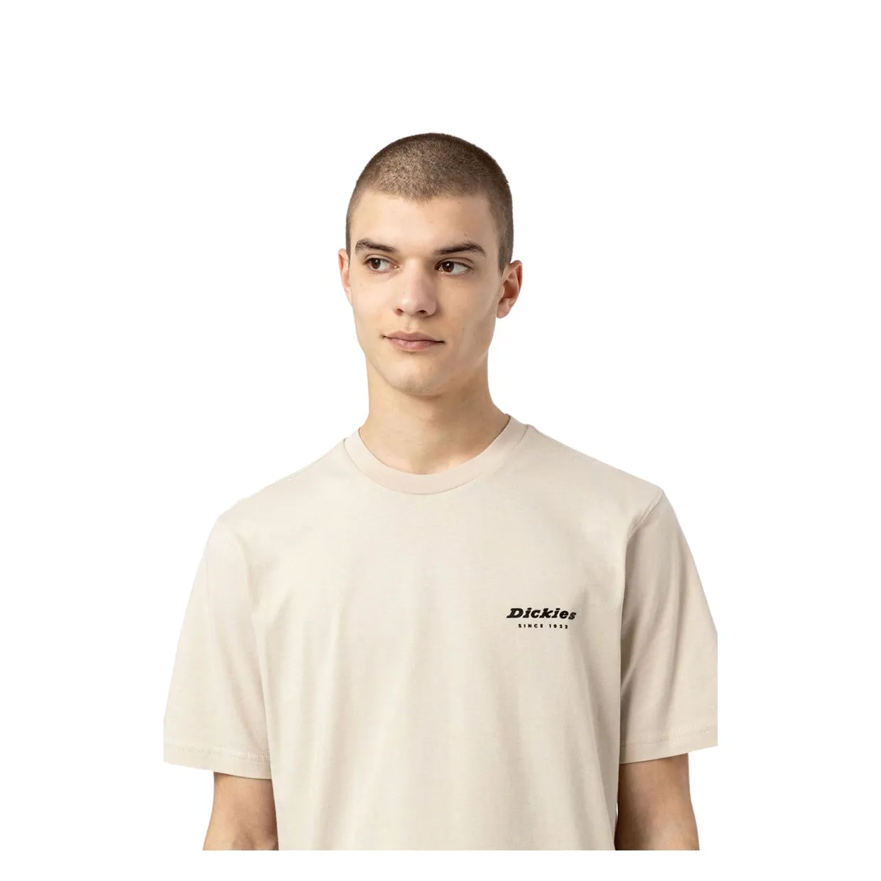 T-shirt Dickies Artondale Beige