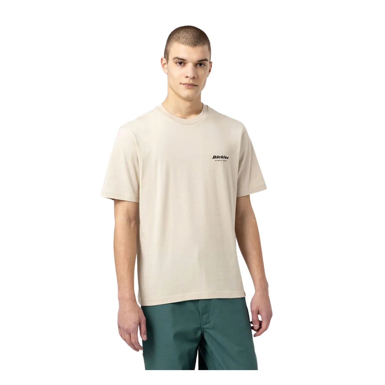 T-shirt Dickies Artondale Beige