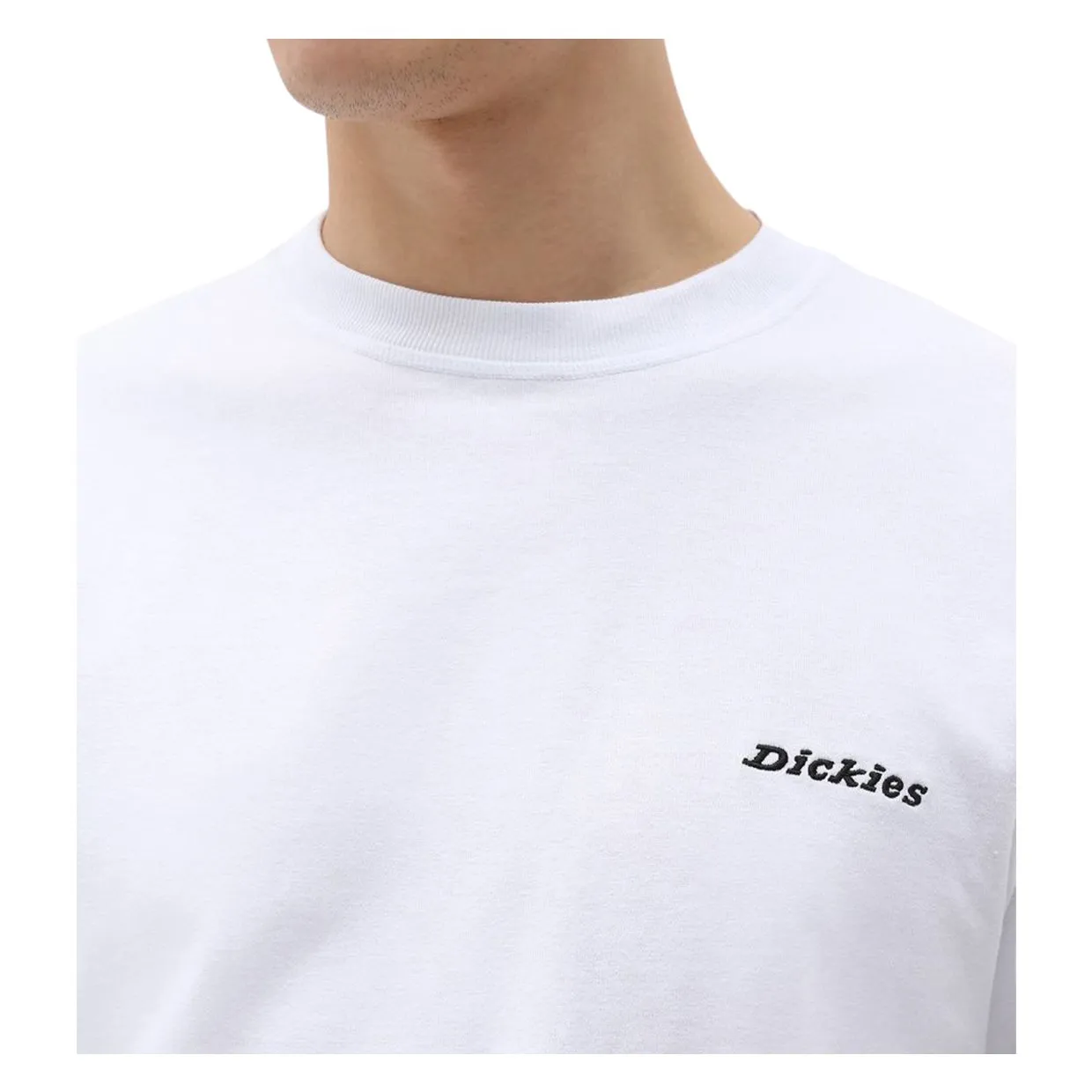 T-shirt Dickies Loretto Bianco