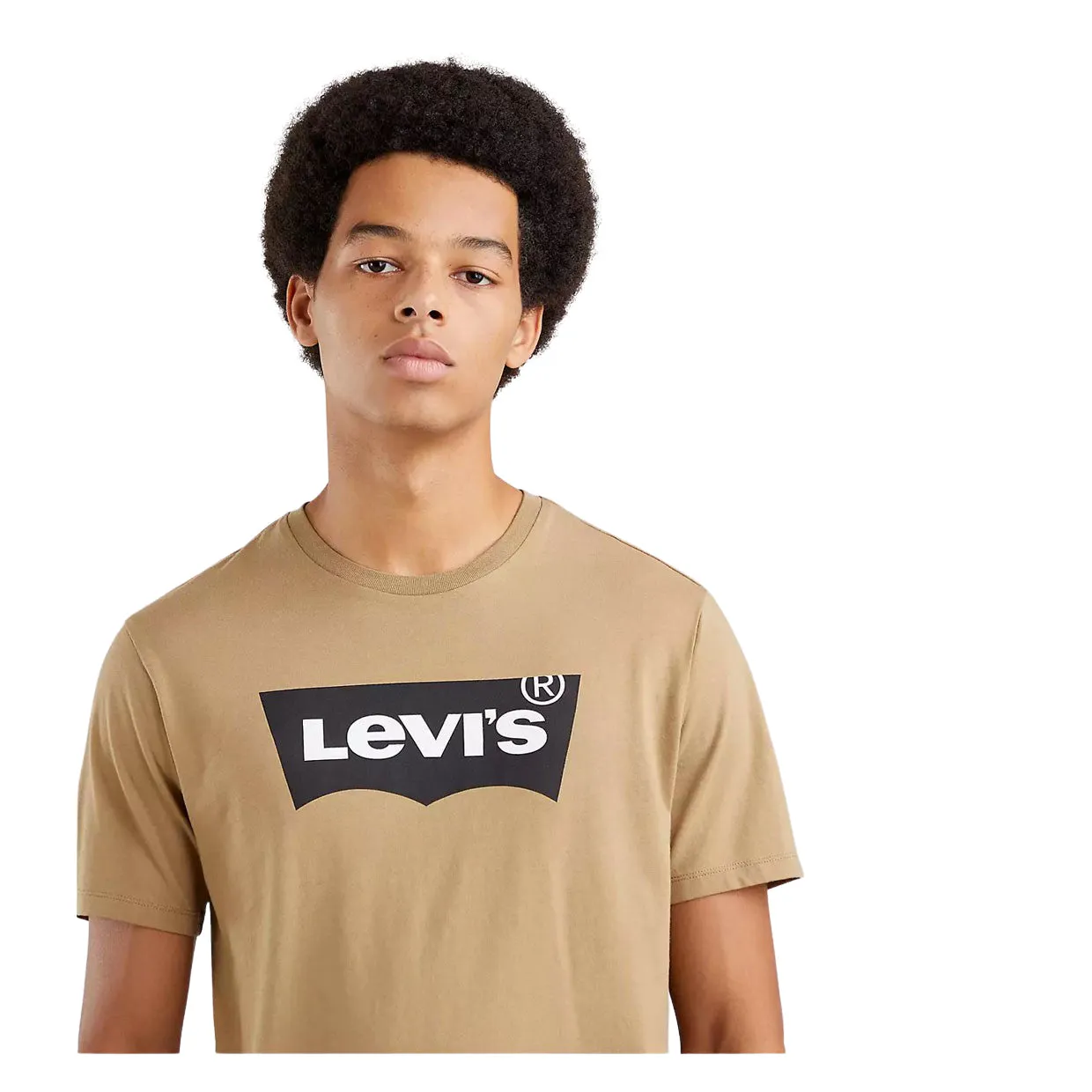 T-shirt Levi's Girocollo Stampata Tortora / Nero