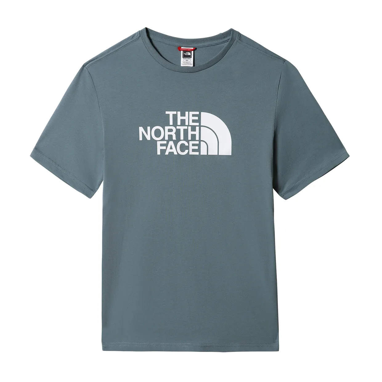 T-shirt The North Face Easy Verde Salvia