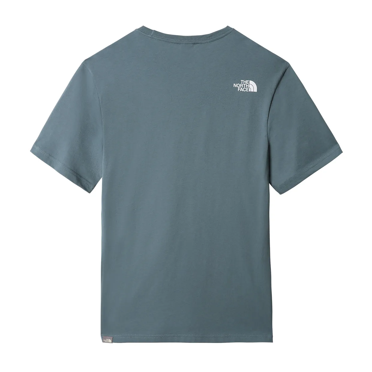 T-shirt The North Face Easy Verde Salvia