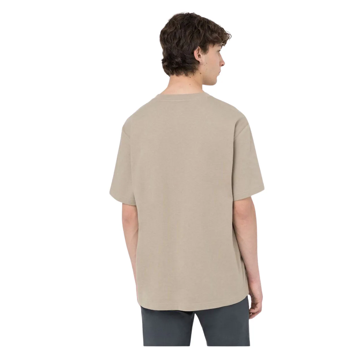 T-shirt Uomo Dickies Porterdale Beige