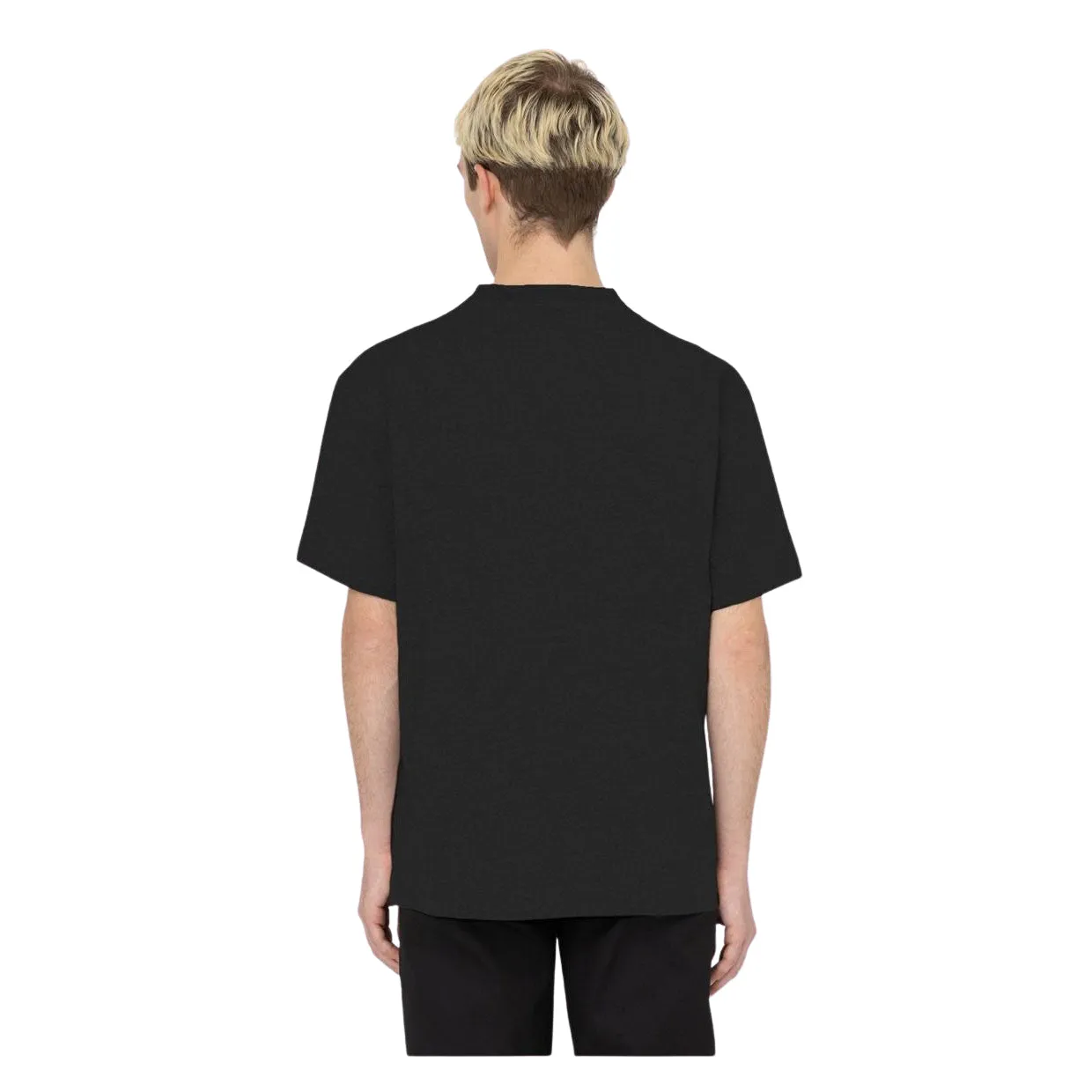 T-shirt Uomo Dickies Porterdale Nero